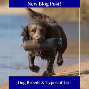 Dog Breeds and Types of Use