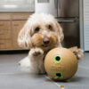 KONG Bamboo Feeder Ball Md - Image 6