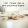 Beaphar StressLess Herbal Calming Diffuser For Cats & Dogs, starter kit with 1 x plug-in and 1 x 30ml refill - Image 5