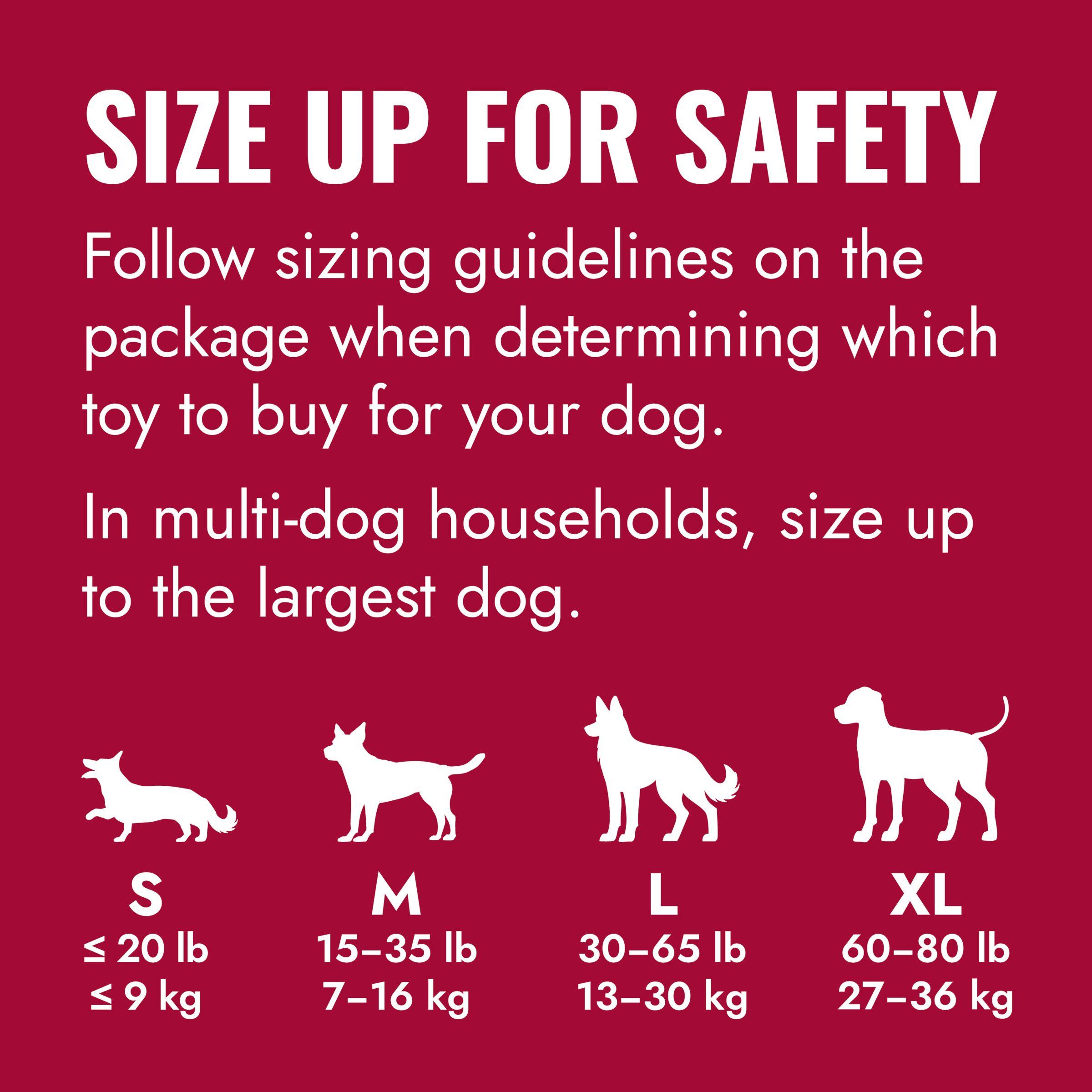 KONG Goodie Bone Md - Image 4