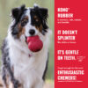KONG Goodie Bone Md - Image 7