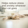 Beaphar StressLess Herbal Calming Cat Treats, 35g - Image 5