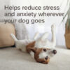 Beaphar StressLess Herbal Calming Spot-On for Dogs, 3 pipettes - Image 5