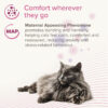 Beaphar CatComfort® Calming Spot-On Cat - Image 5