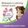 Beaphar StressLess Herbal Calming Spot-On for Dogs, 3 pipettes - Image 4