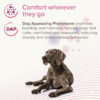 Beaphar CaniComfort® Calming Spray for Dogs 30ml - Image 5