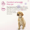 Beaphar CaniComfort® Calming Collar for Puppies - Image 5