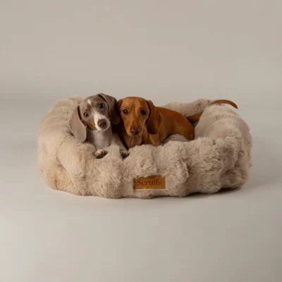 Scruffs Alpine Box Bed - Champagne - Medium