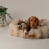 Scruffs Alpine Box Bed - Champagne - X-Large - Image 3