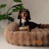 Scruffs Alpine Box Bed - Taupe - Large - Image 3