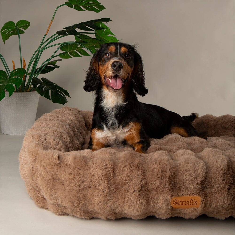 Scruffs Alpine Box Bed - Taupe - Large - Image 3