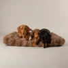 Scruffs Alpine Mattress - Taupe - X-Large - Image 5