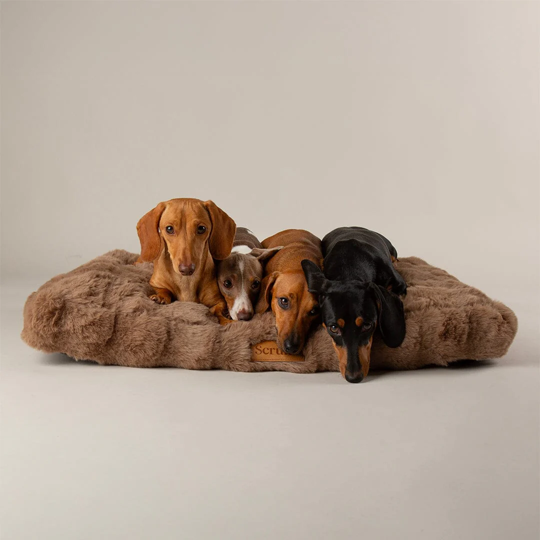 Scruffs Alpine Mattress - Taupe - Large - Image 5