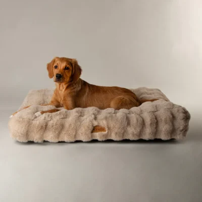 Scruffs Alpine Mattress - Champagne - Large