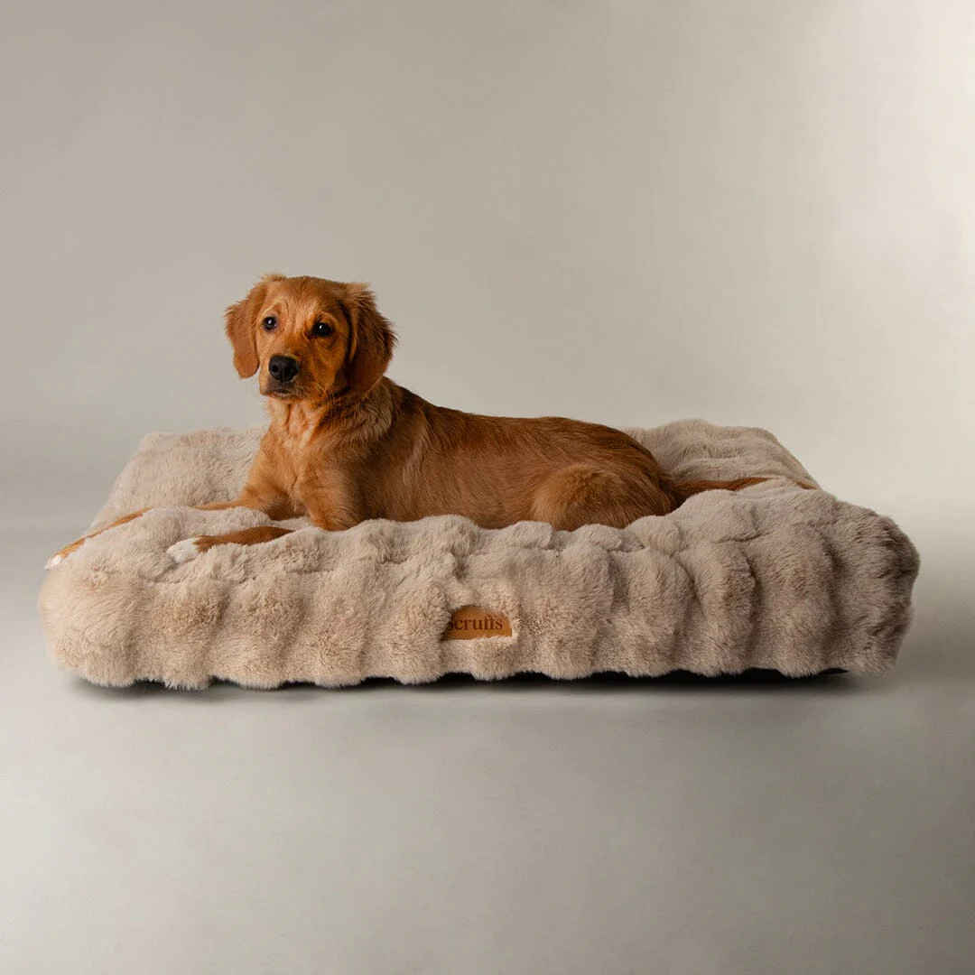 Scruffs Alpine Mattress - Champagne - X-Large
