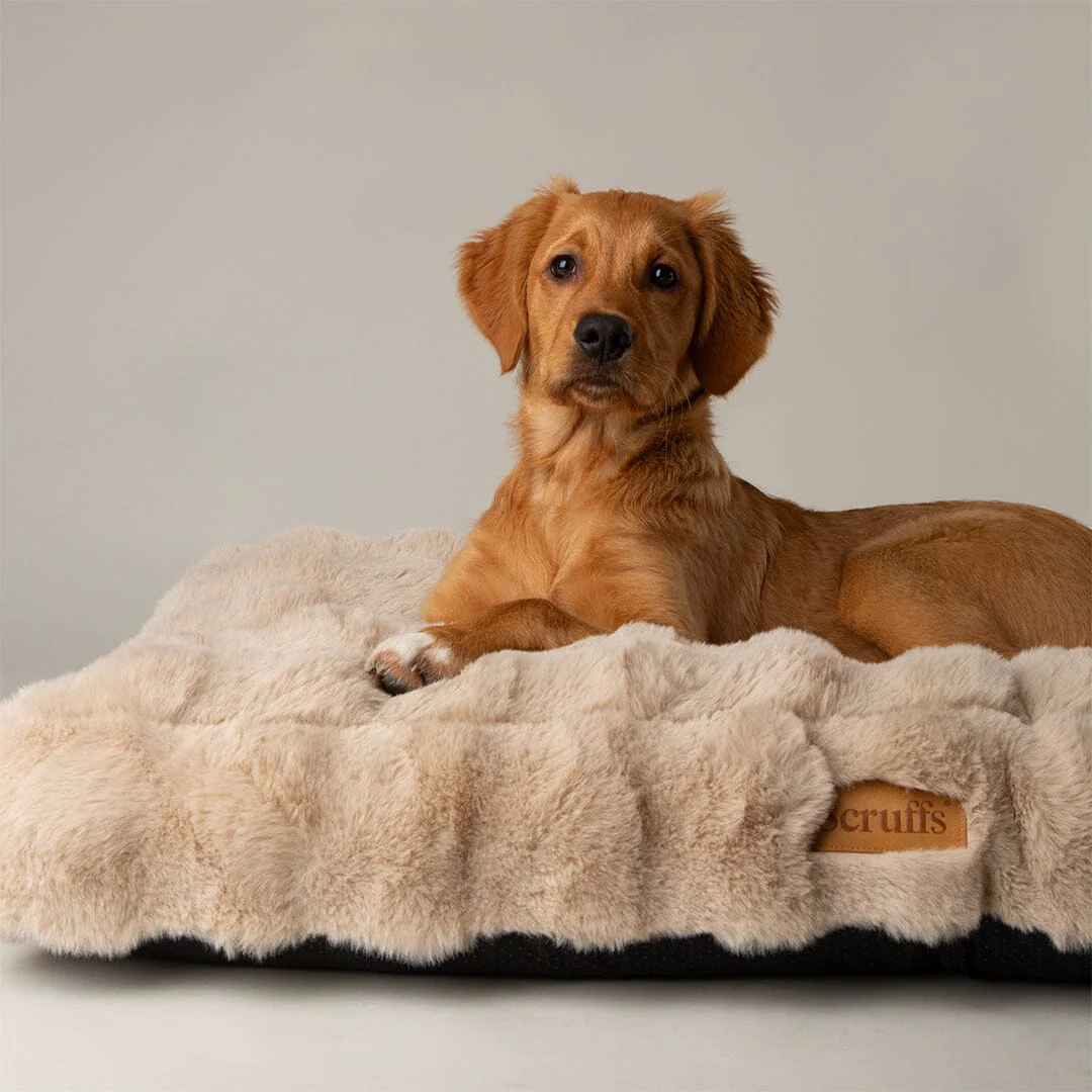 Scruffs Alpine Mattress - Champagne - X-Large - Image 2