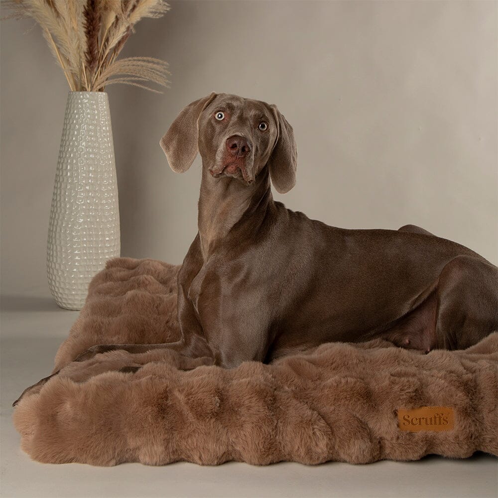 Scruffs Alpine Mattress - Taupe - Large - Image 3