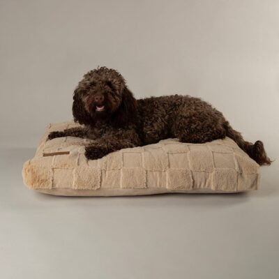 Scruffs Oxford Orthopaedic Mattress - Tan - Large