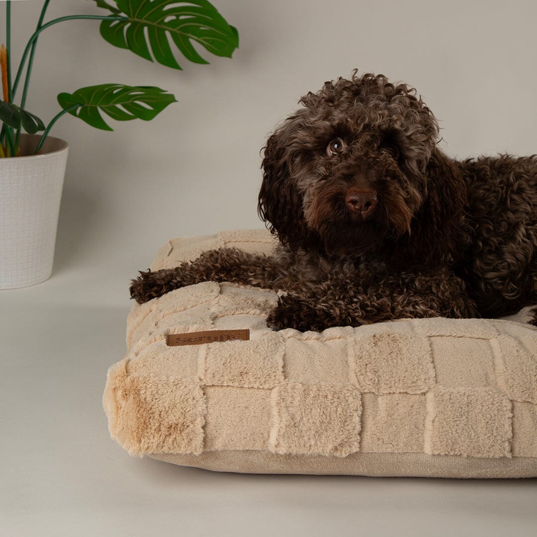 Scruffs Oxford Orthopaedic Mattress - Tan - X-Large - Image 3
