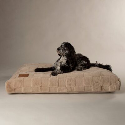 Scruffs Oxford Orthopaedic Mattress - Camel - Large