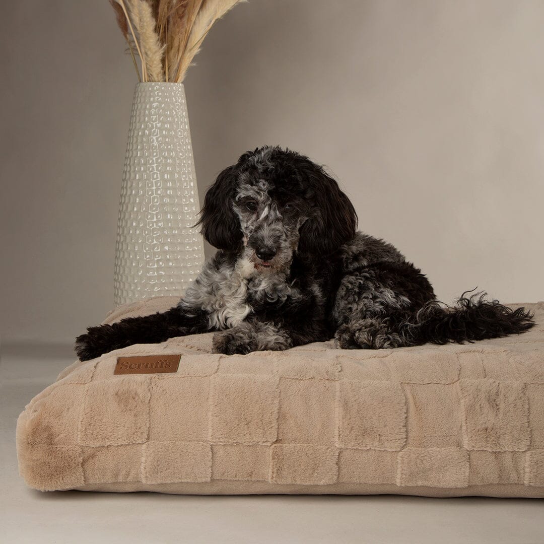 Scruffs Oxford Orthopaedic Mattress - Camel - X-Large - Image 3