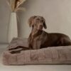 Scruffs Oxford Orthopaedic Mattress - Silver - X-Large - Image 3
