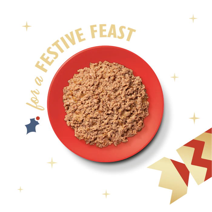 Lily’s Kitchen Festive Turkey & Salmon Pate 85g - Image 2