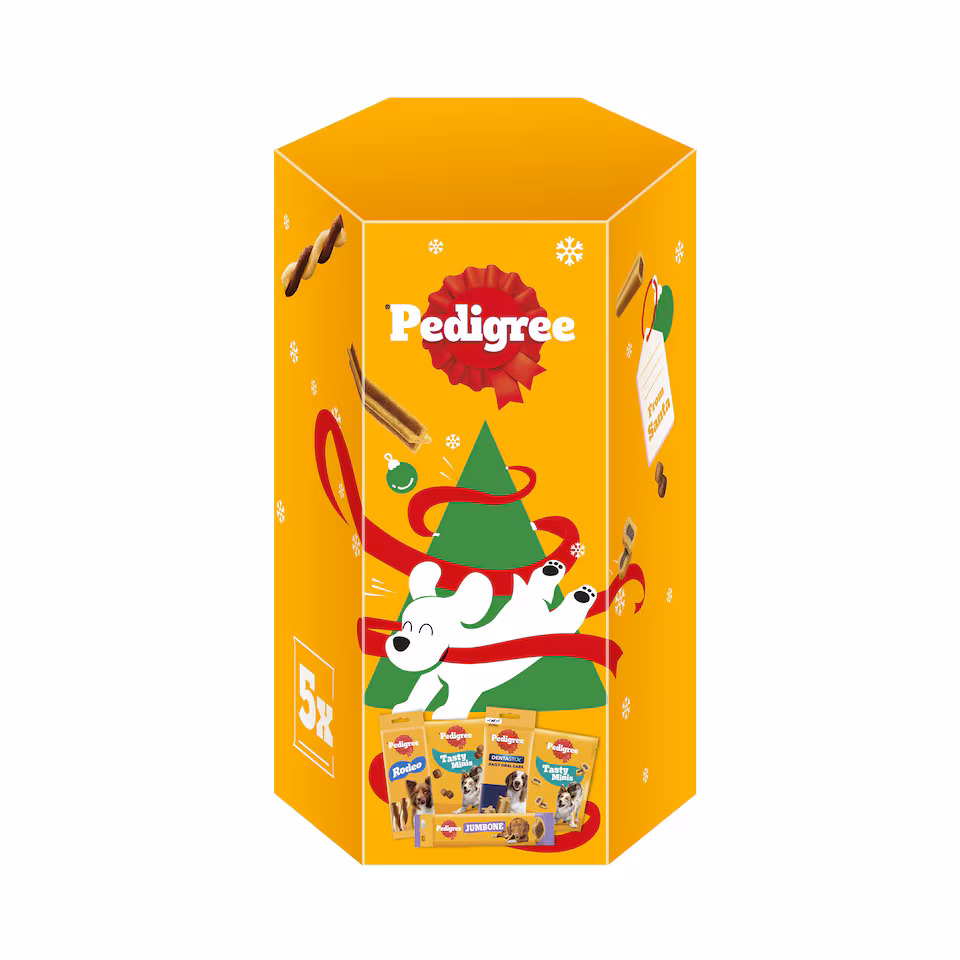 Pedigree Christmas Present Box 575g