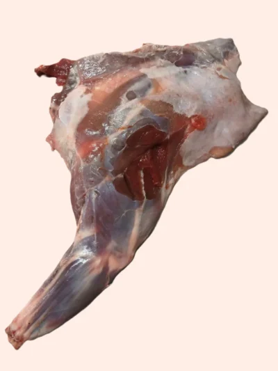 The Dogs Butcher Raw Dog Food – Muntjac Deer Meaty Fore Leg