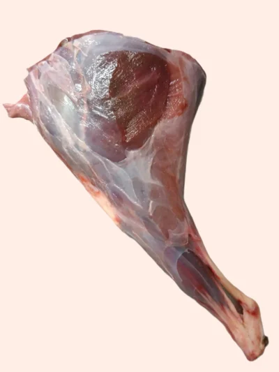 The Dogs Butcher Raw Dog Food – Muntjac Deer Meaty Hind Leg
