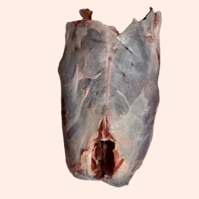 The Dogs Butcher Raw Dog Food – Muntjac Deer Meaty Rump