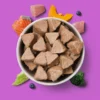 Nutriment Raw Dog Food – Raw Senior Turkey & Salmon Nuggets 1kg - Image 2