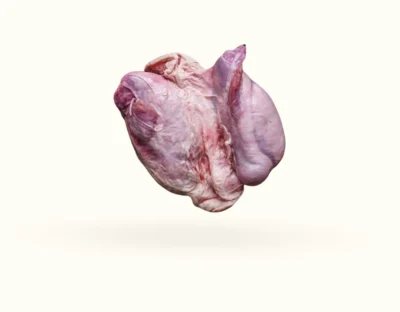 The Dogs Butcher Raw Dog Food - Pig Testicle Pair