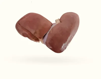 The Dogs Butcher Raw Dog Food - Pork Kidney 500g