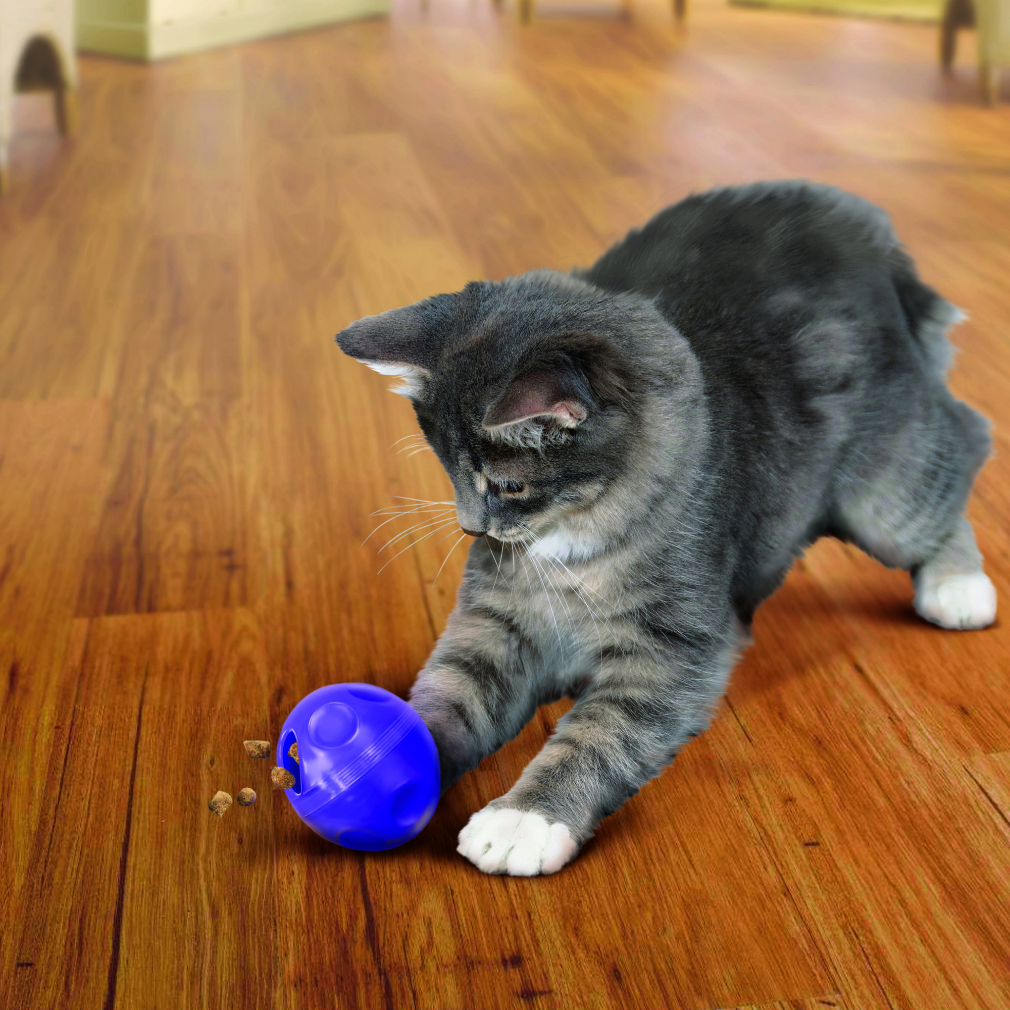 KONG Cat Treat Dispensing Ball - Image 4